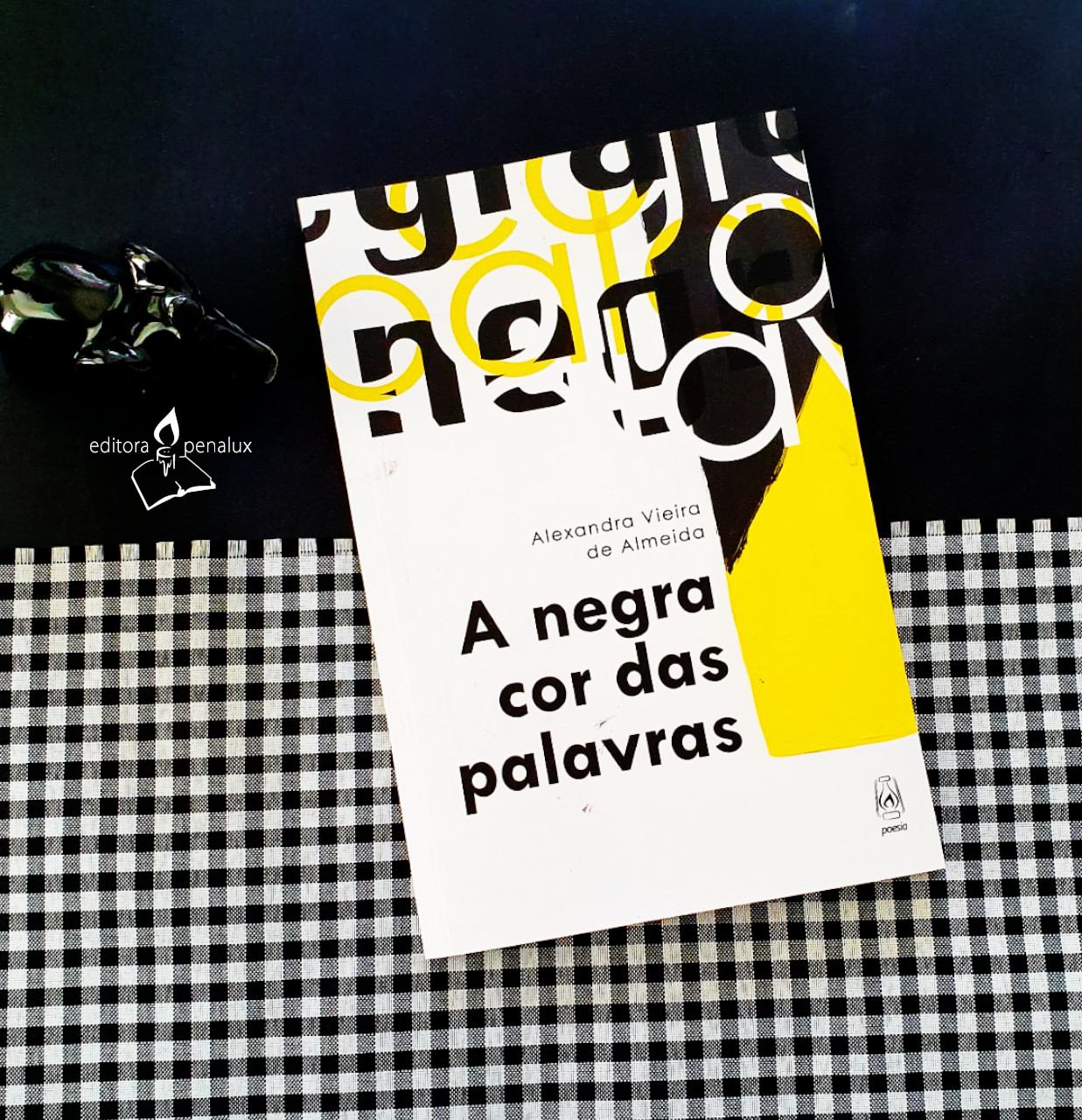 A COR DAS PALAVRAS - Resenha | O livro de poemas de "A negra cor das palavras" peleja contra as milenares cruezas humanas | por Jean Narciso Bispo Moura